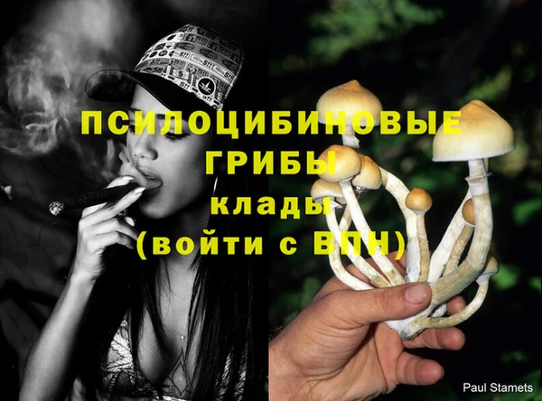 скорость Бородино