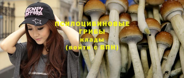 тгк Балахна